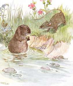 Called on Squire Water Rat, Old Friend of the Family, Illustration from 